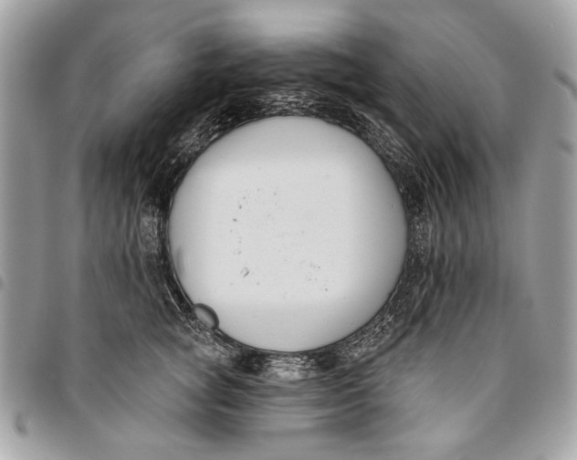 X0000096210757200802081502