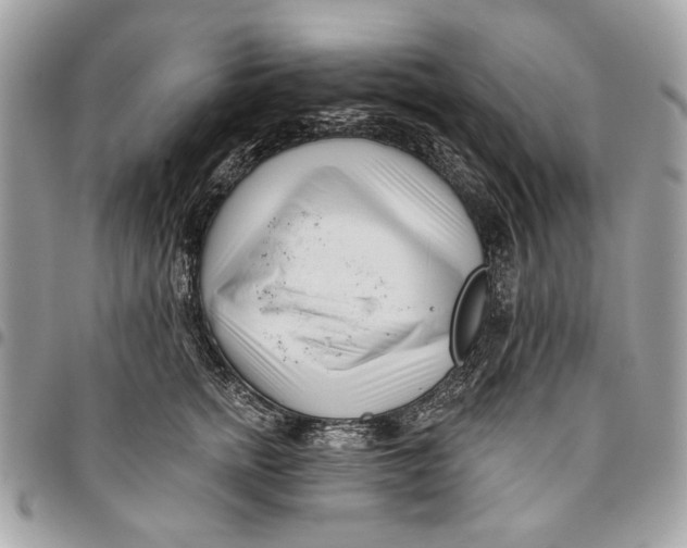 X0000096210758200802081502