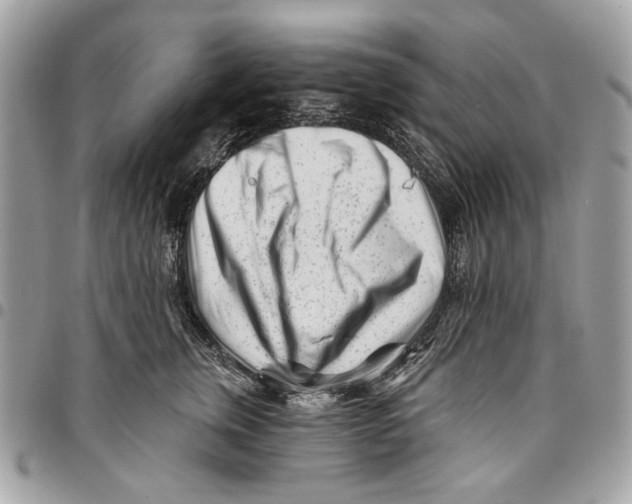 X0000096210759200802081502