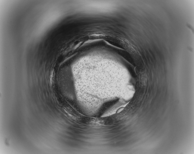 X0000096210760200802081502