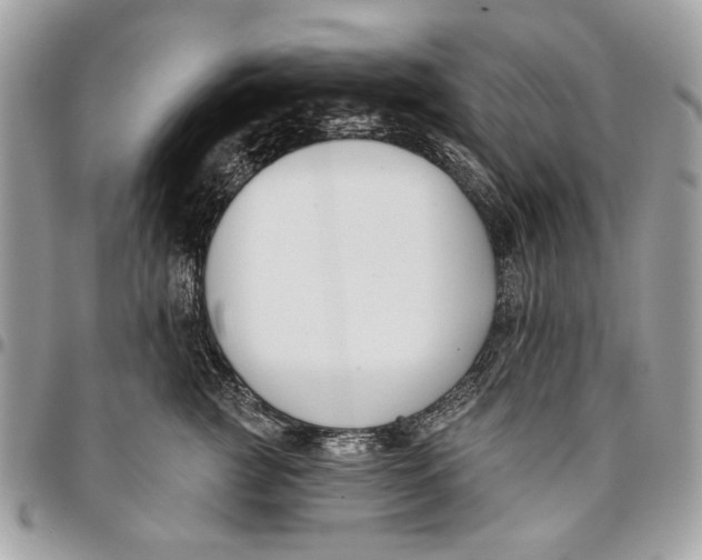 X0000096210761200802081502