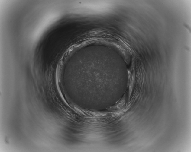 X0000096210762200802081502