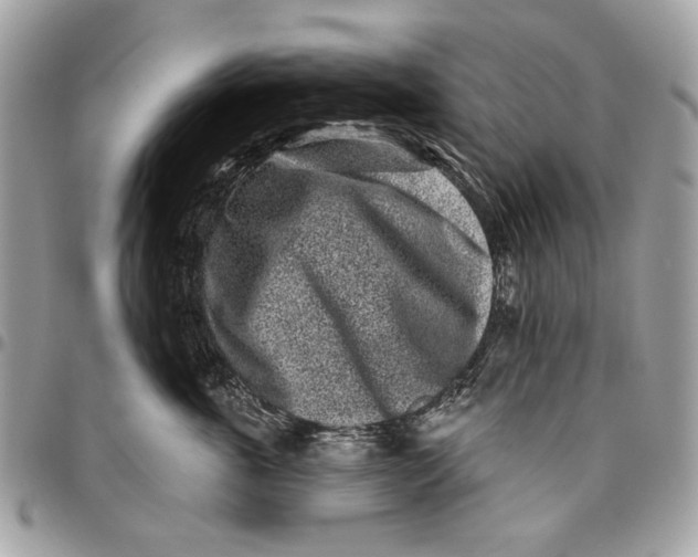 X0000096210763200802081502