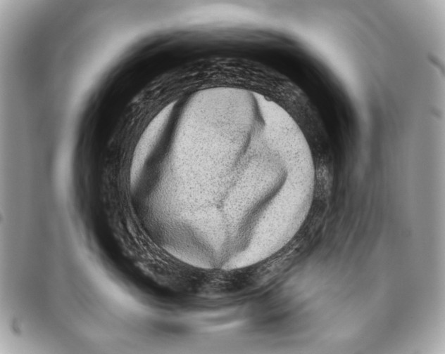 X0000096210765200802081502