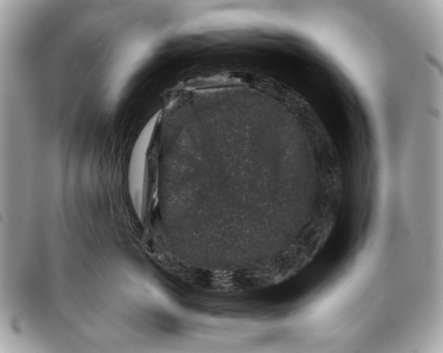 X0000096210766200802081502