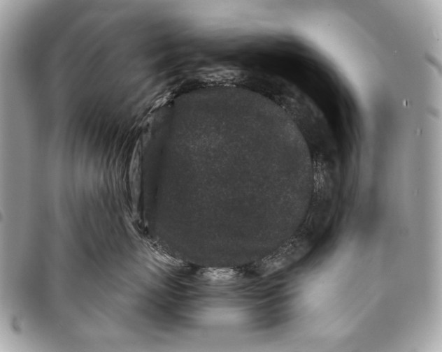 X0000096210767200802081502