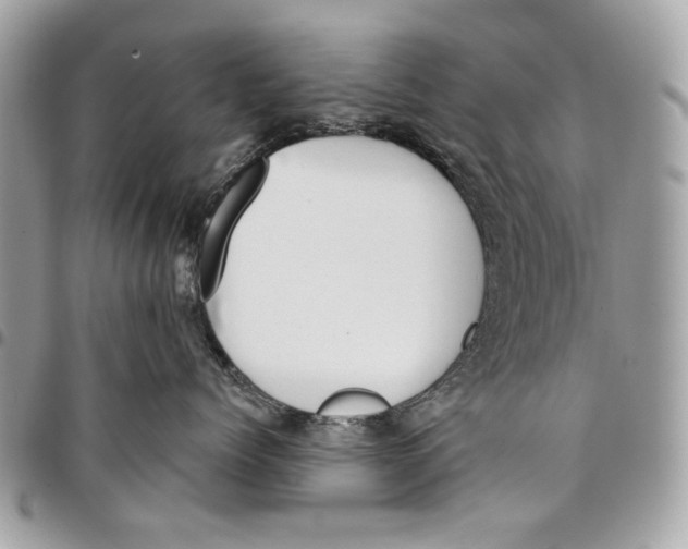 X0000096210768200802081502