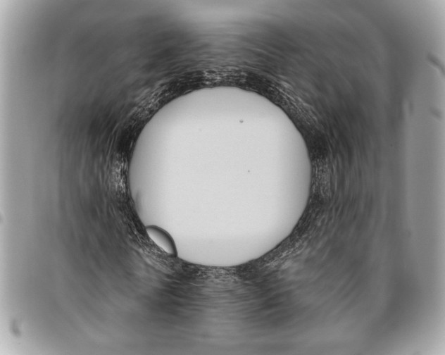 X0000096210770200802081501