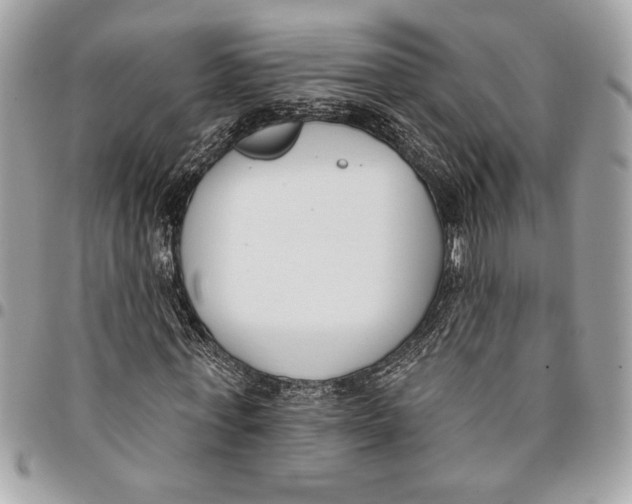 X0000096210771200802081501