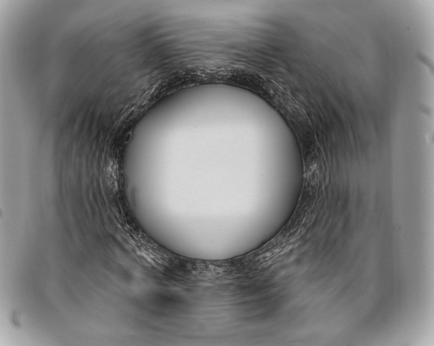 X0000096210772200802081501