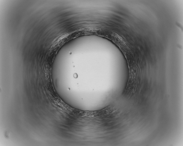 X0000096210773200802081501