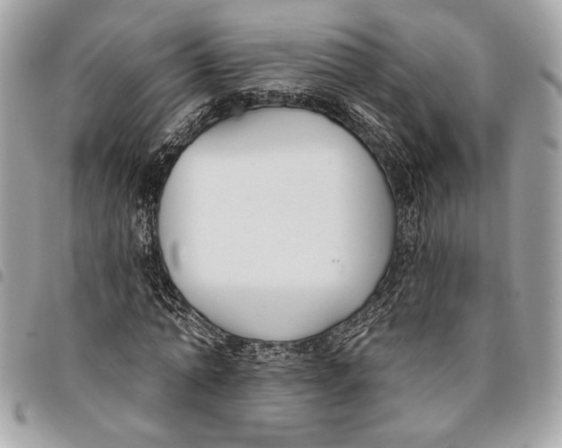 X0000096210774200802081501