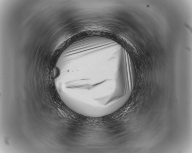 X0000096210775200802081501