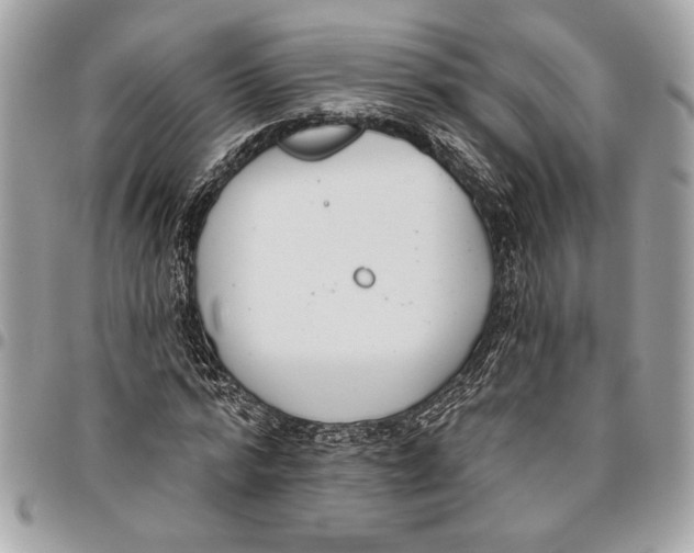 X0000096210776200802081501