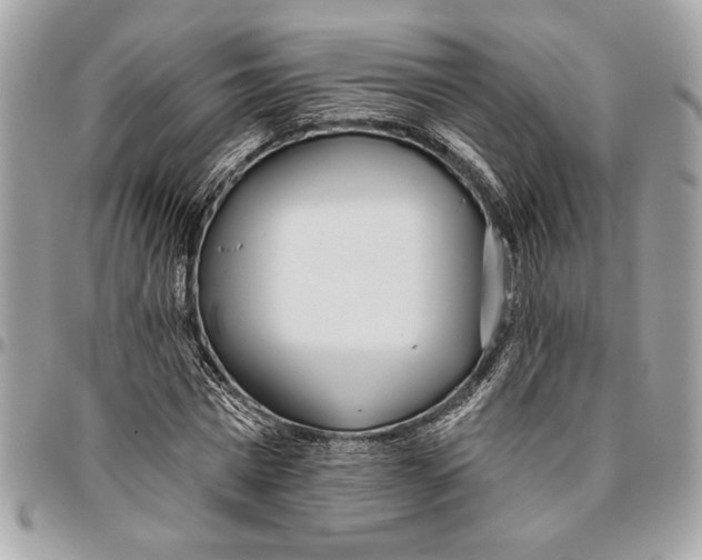 X0000096210777200802081501