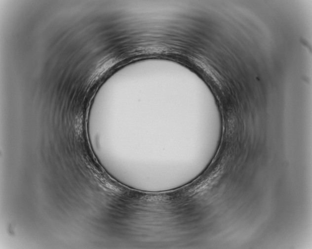 X0000096210778200802081501