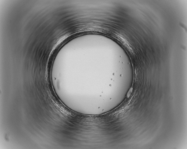 X0000096210780200802081501