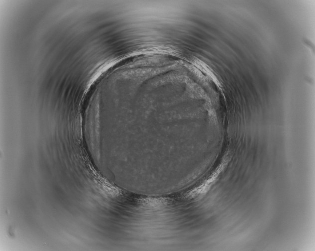 X0000096210781200802081501