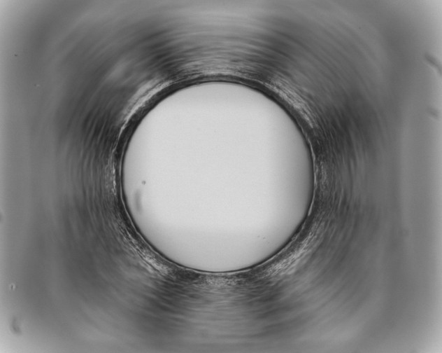 X0000096210782200802081501