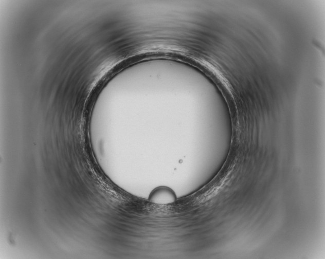 X0000096210783200802081501