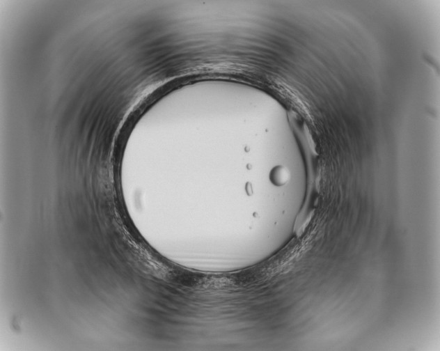 X0000096210784200802081501