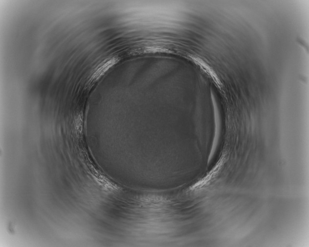 X0000096210785200802081501