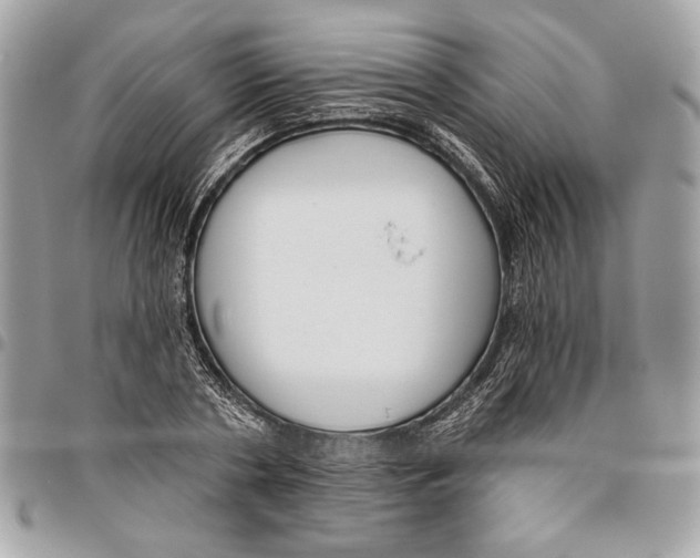 X0000096210786200802081501