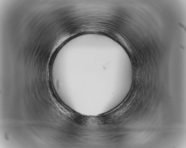 X0000096210787200802081501