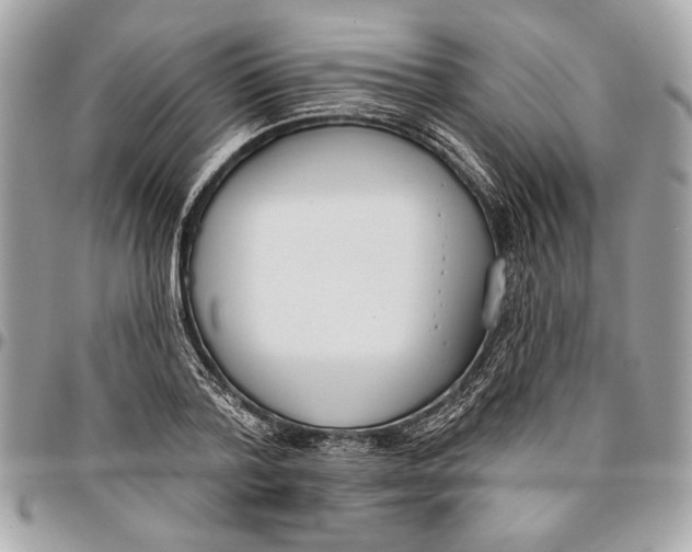 X0000096210788200802081501