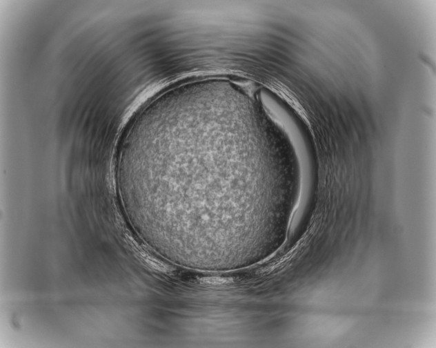 X0000096210789200802081501