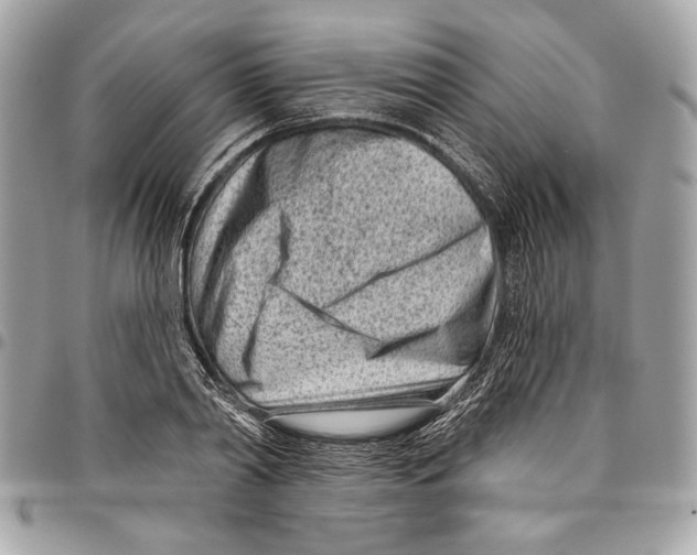 X0000096210790200802081501