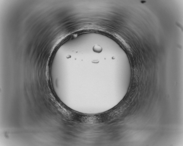 X0000096210791200802081501