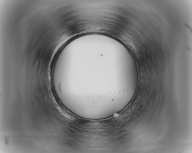 X0000096210792200802081501