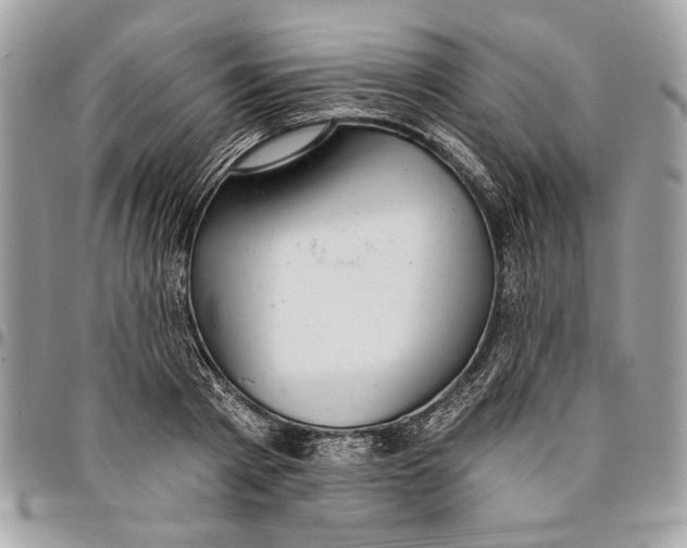 X0000096210793200802081501