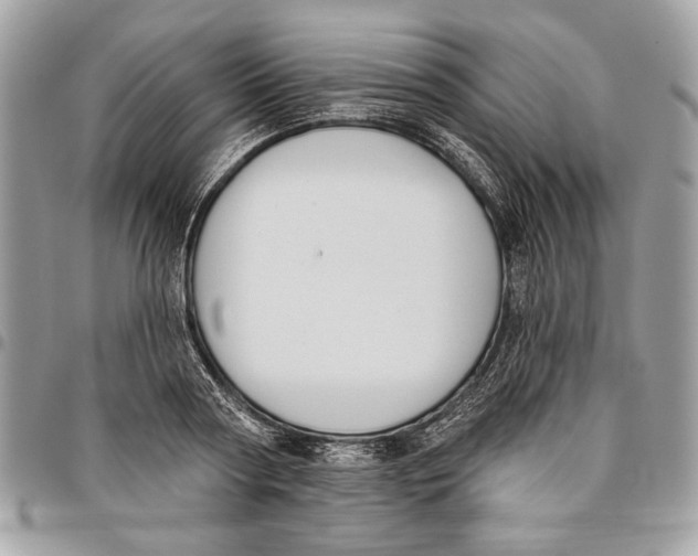 X0000096210794200802081501