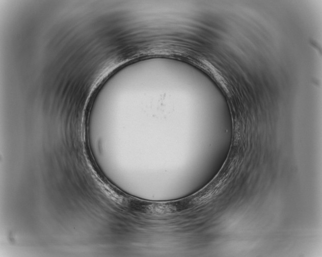 X0000096210795200802081501