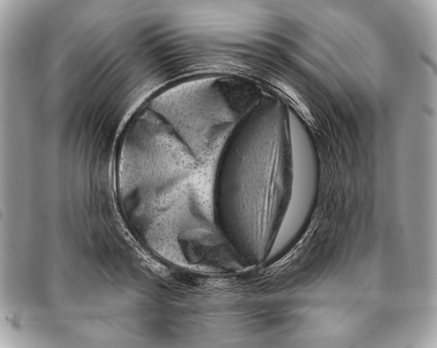 X0000096210796200802081501