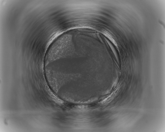 X0000096210797200802081501