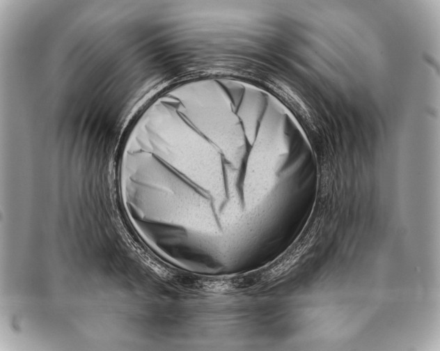 X0000096210798200802081501