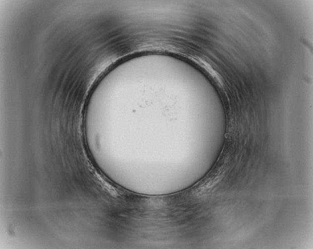 X0000096210799200802081501