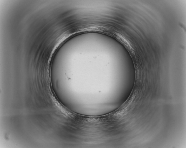 X0000096210800200802081501