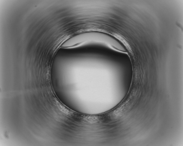 X0000096210801200802081501