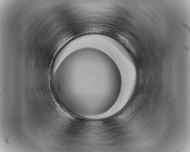 X0000096210802200802081501