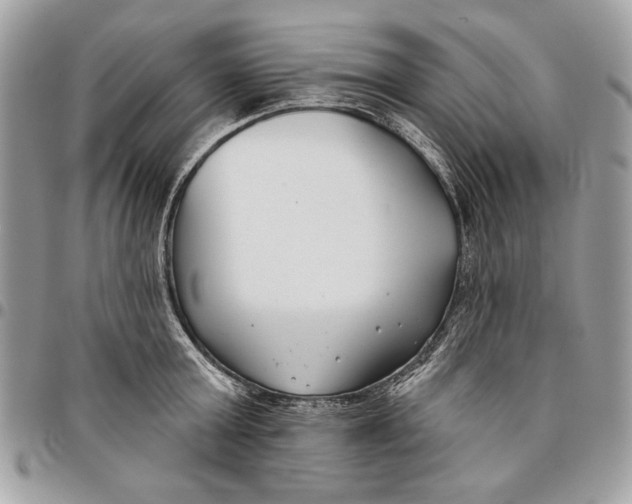 X0000096210803200802081501