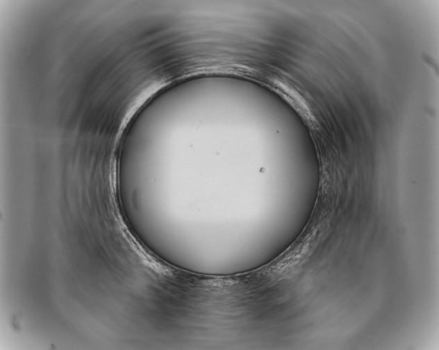 X0000096210804200802081501