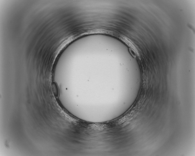 X0000096210805200802081501