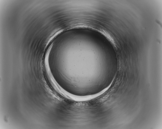 X0000096210806200802081501