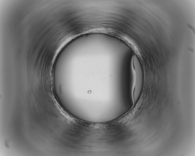 X0000096210808200802081501