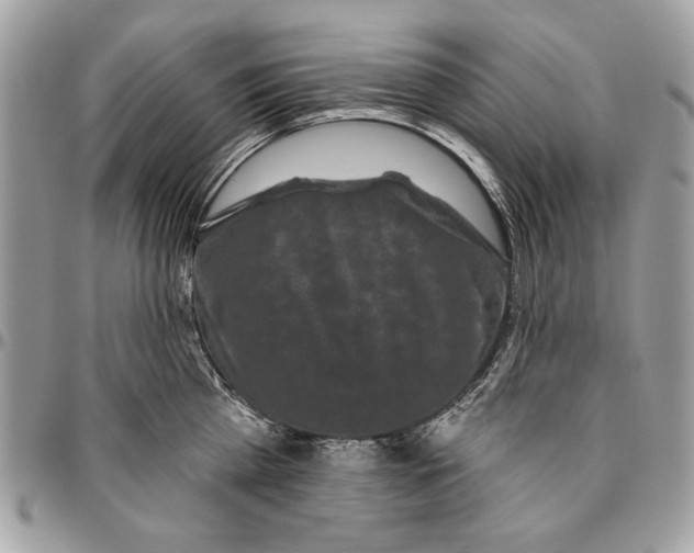 X0000096210809200802081501