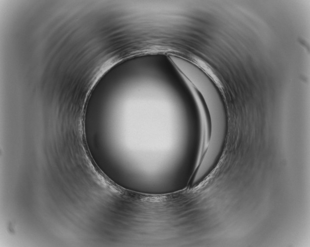 X0000096210810200802081501